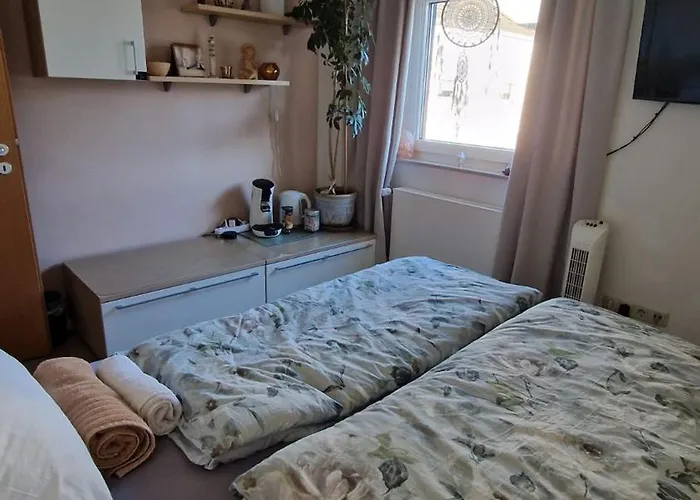 Haus Mit Garten, 20 Min. Zum Dom&messe *